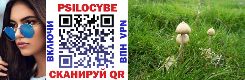 Купить закладки  Котельниково  Псилоцибиновые грибы мицелий 